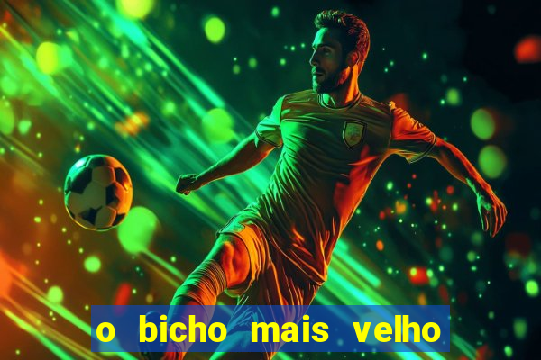 o bicho mais velho da loteria dos sonhos